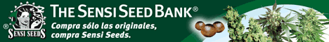 SensiSeeds468x60-SP